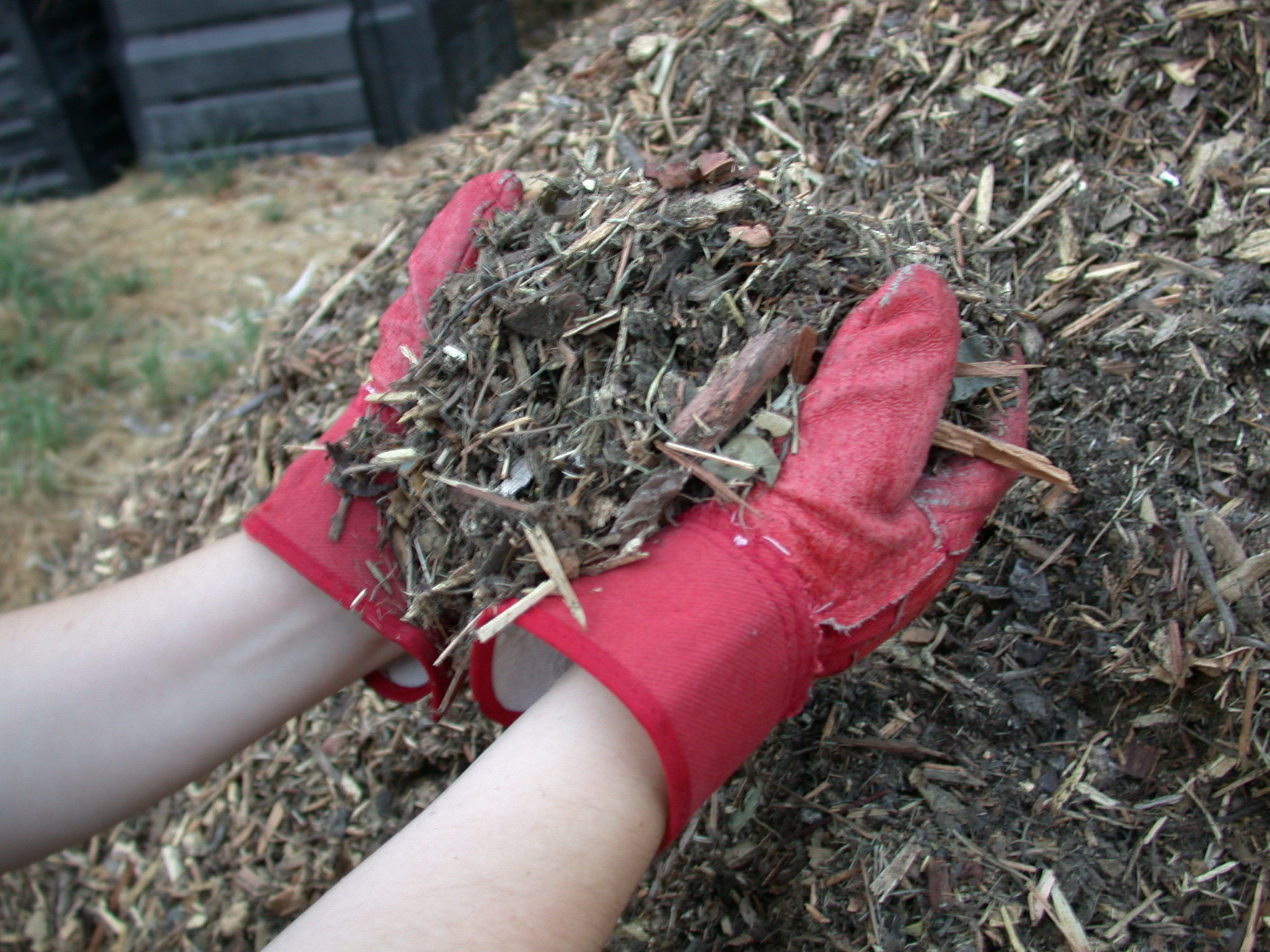 The 7 Best Mulches for Winter in Charlotte, NC Lawnstarter