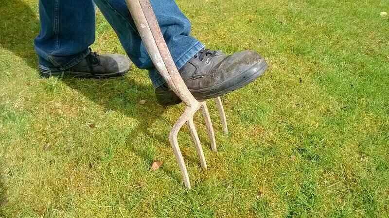 Man using aerate tool on grass