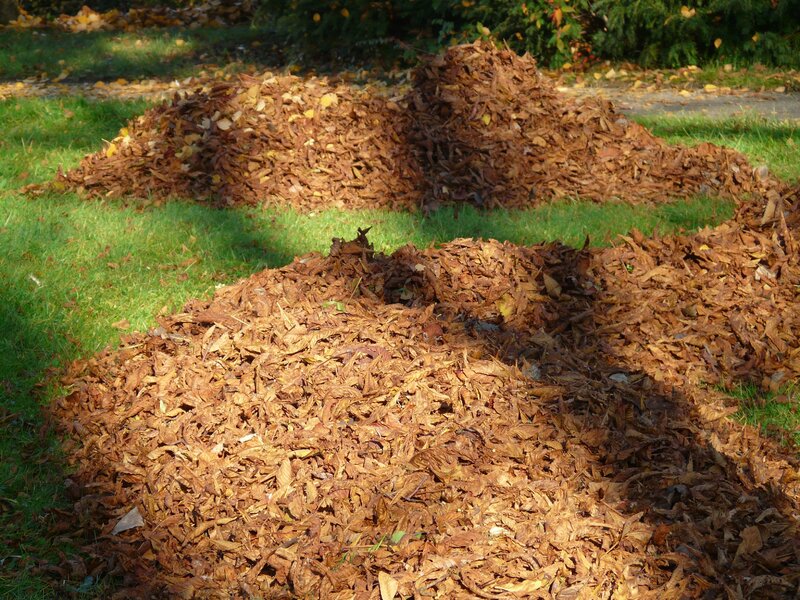 Mulch on grass