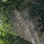 4 Watering Tips for Your New Orleans Lawn