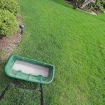 9 FAQs About Applying Starter Fertilizer to Your Lawn