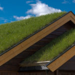 The Dirt on Green Roofs