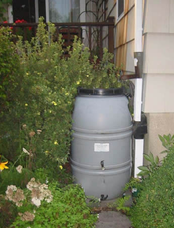 Rain barrel