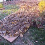 Sheet Mulching: What it is, How to do It