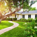 9 Ways to Landscape Around Trees