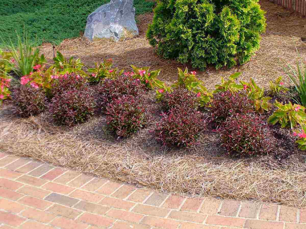 9 Alternatives to Landscape Fabric Lawnstarter