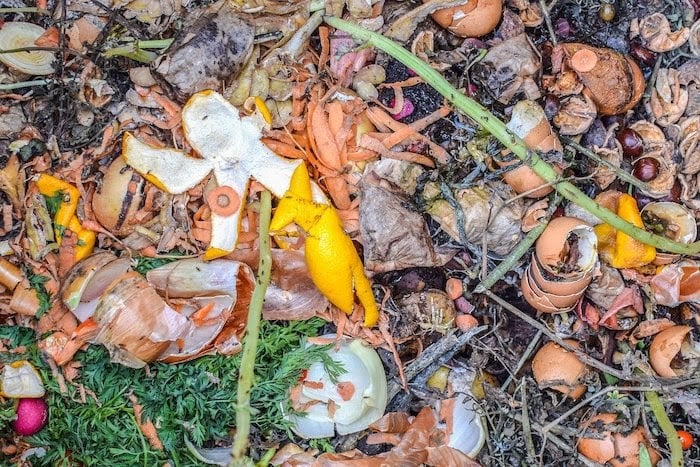 Close up of compost pile full of food scraps