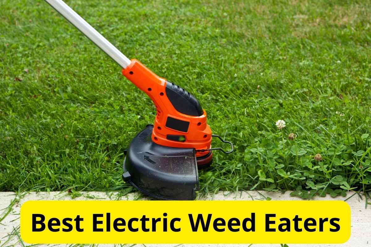 10 Best Electric Weed Eaters of 2024 [Reviews] Lawnstarter