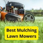 10 Best Mulching Lawn Mowers of 2022 [Reviews]