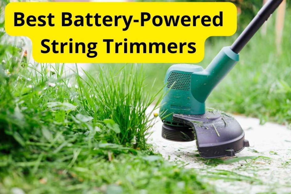 7 Best BatteryPowered String Trimmers of 2024 [Reviews] Lawnstarter