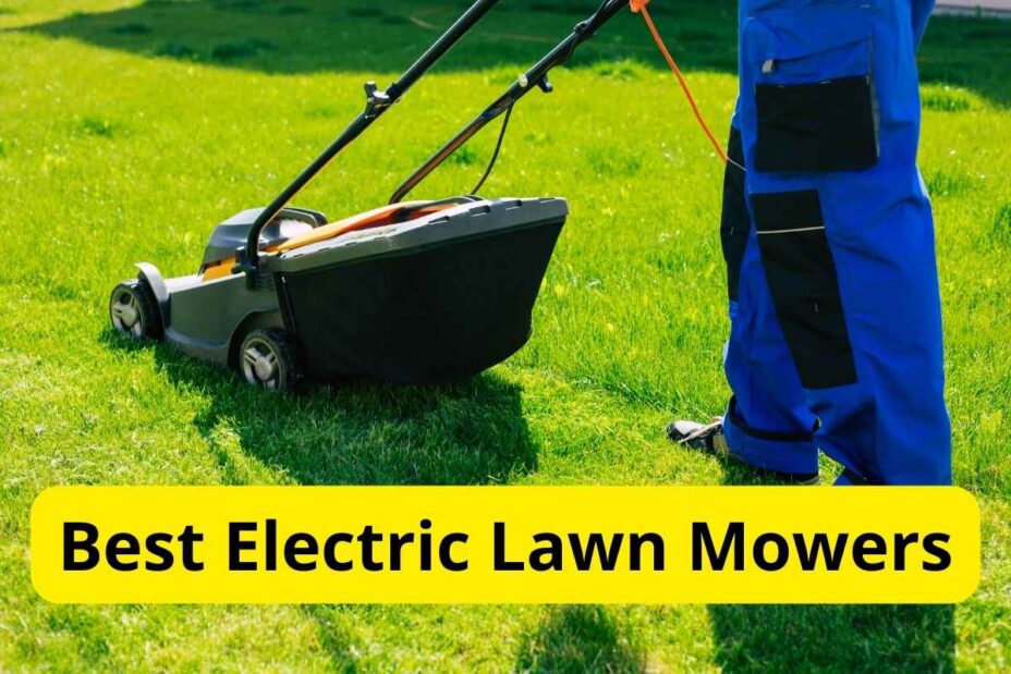 9 Best Electric Lawn Mowers of 2024 [Reviews] Lawnstarter