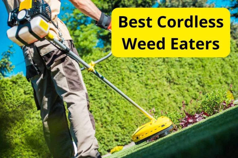 9 Best Cordless Weed Eaters Of 2024 [Reviews] – Lawnstarter