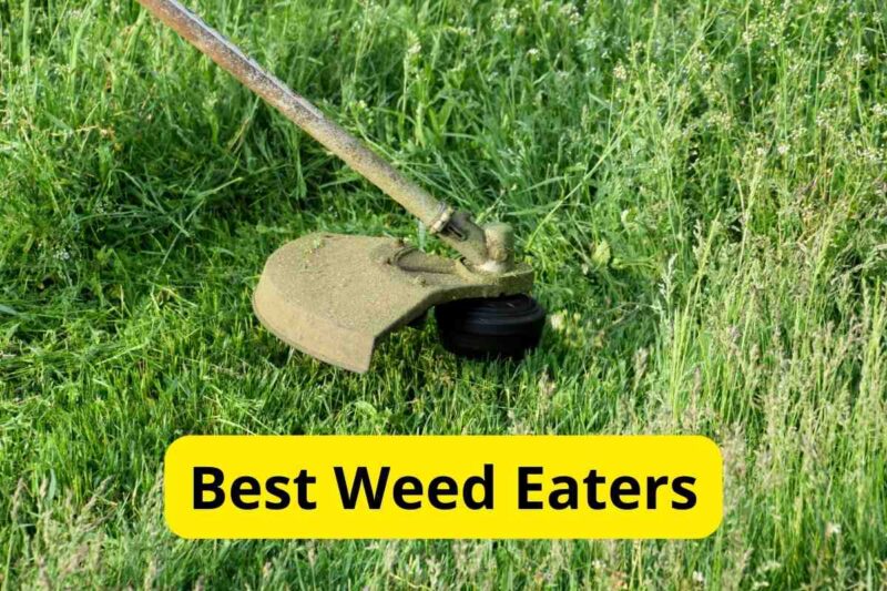 10 Best Weed Eaters of 2024 [Reviews] Lawnstarter