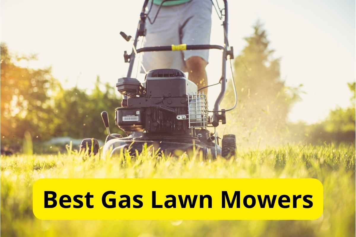 7 Best Gas Lawn Mowers Of 2024 Reviews Lawnstarter 5259