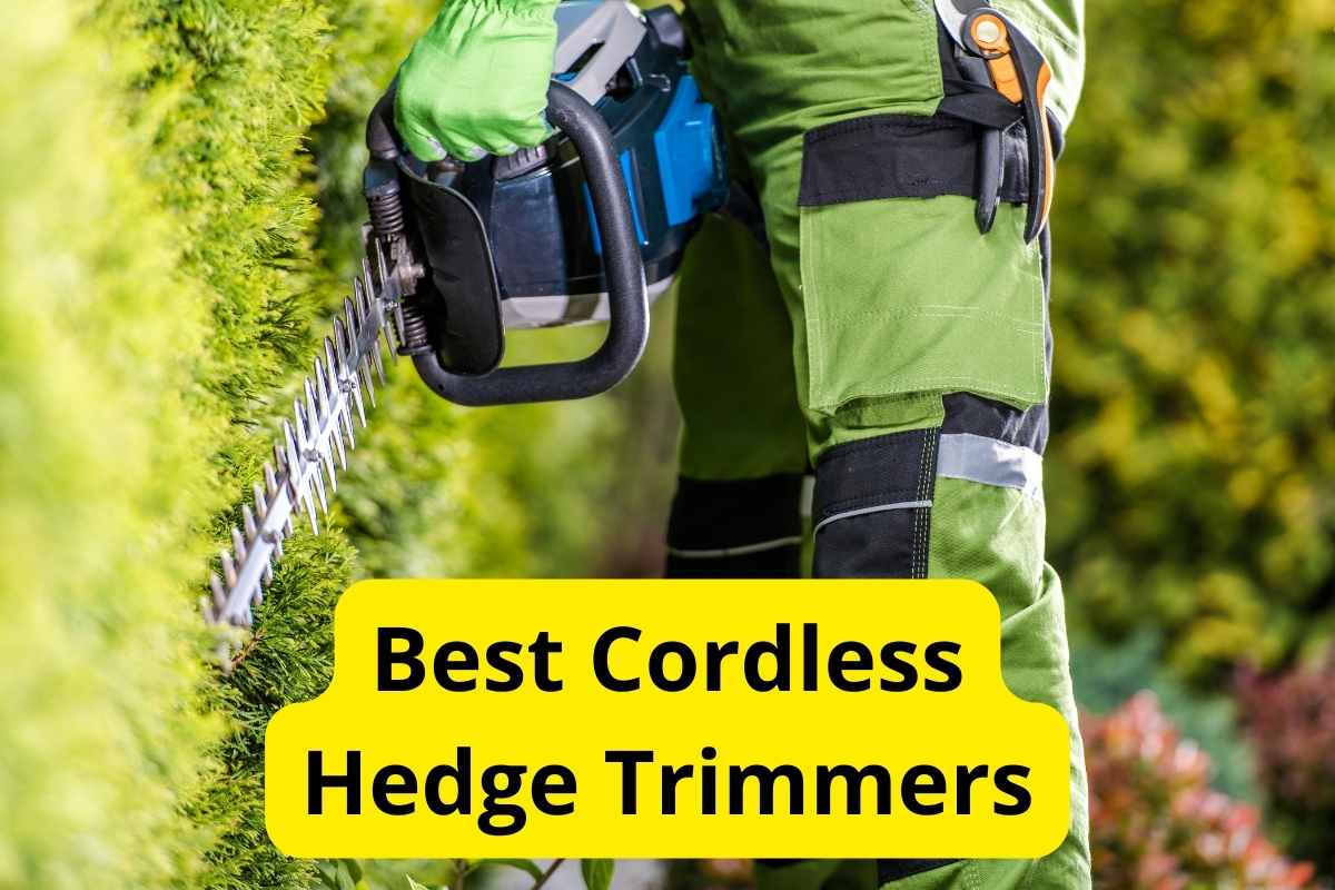 10 Best Cordless Hedge Trimmers of 2024 [Reviews] Lawnstarter