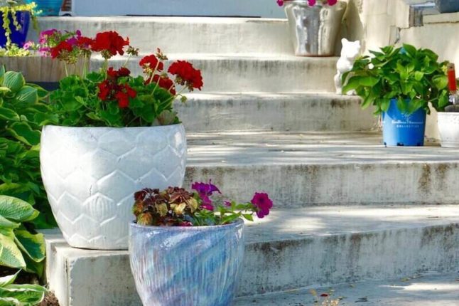 large, circular containers on steps holding flowers