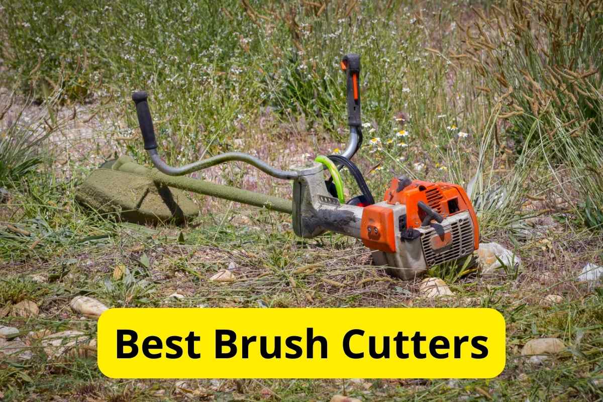 8 Best Brush Cutters of 2024 – [Reviews] – Lawnstarter