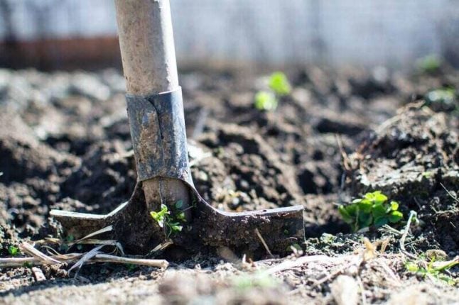 closeup of a garden hoe standing upright in soil