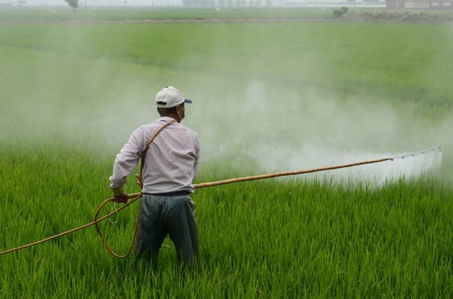 Man Applies Herbicide