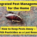 Integrated Pest Management for the Home