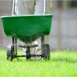 Lime for Lawns: Why, When, and How to Lime a Lawn