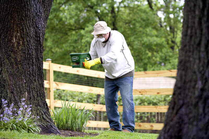 Man spreading fertilizer to plants