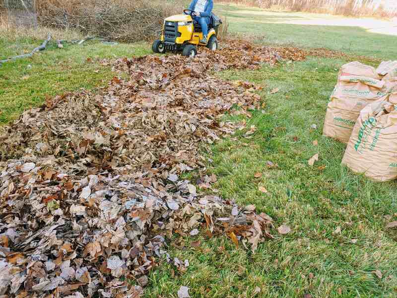 leaves mulching