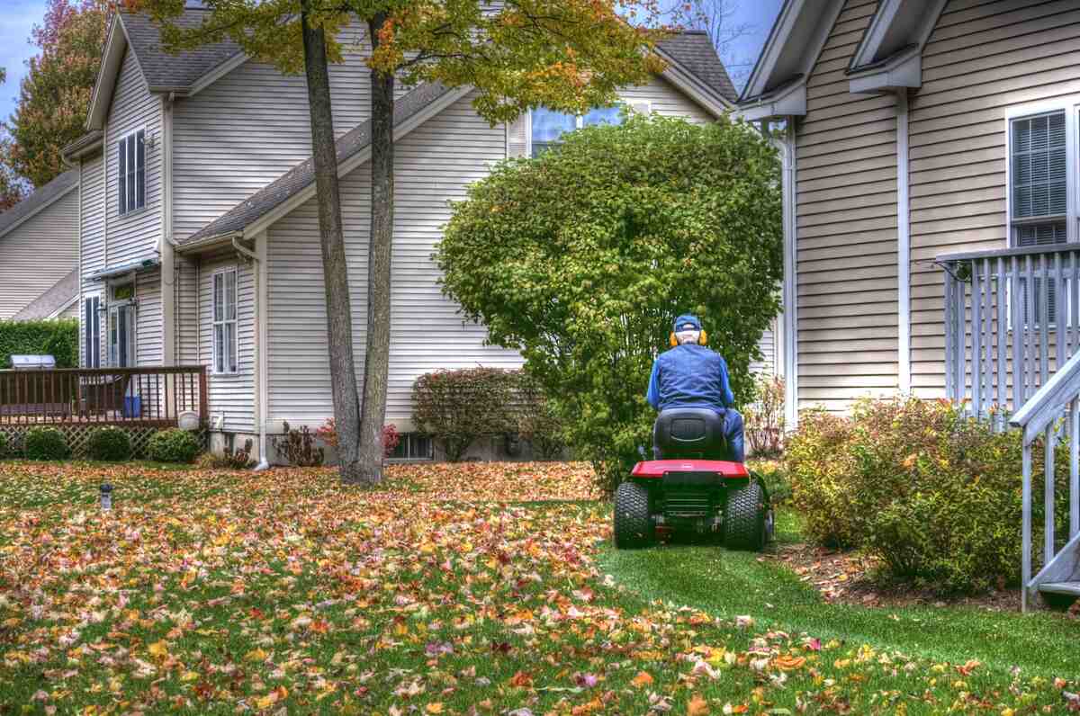 mulch autumn leaves