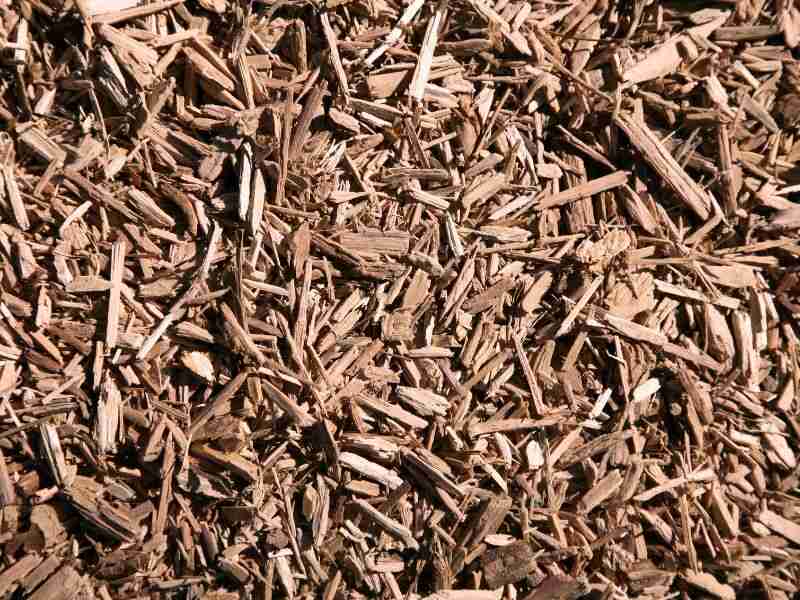 mulch