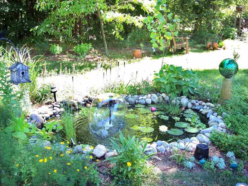 A backyard pond with rocks in the boundary