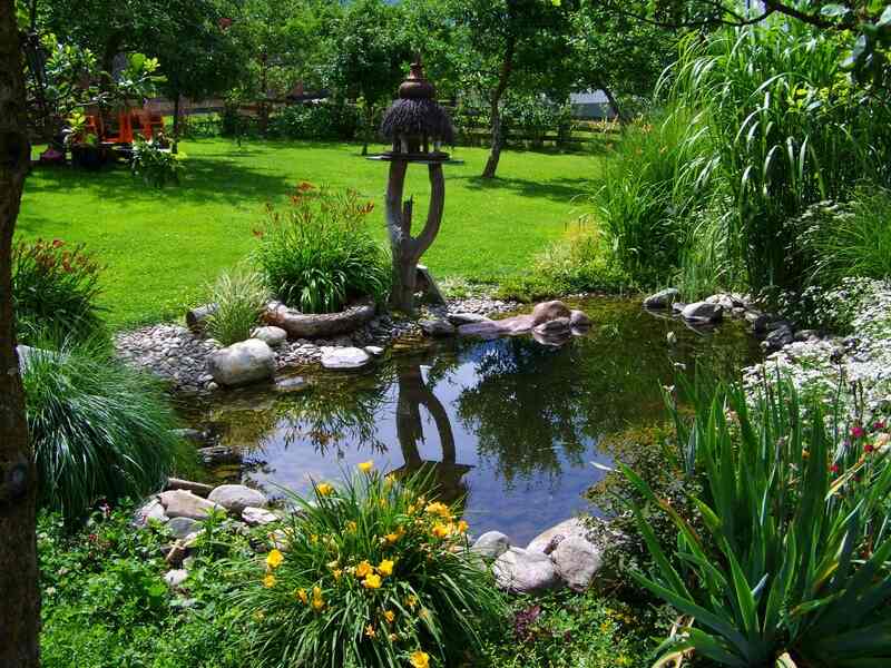 A beautiful backyard pond with yellow flowers