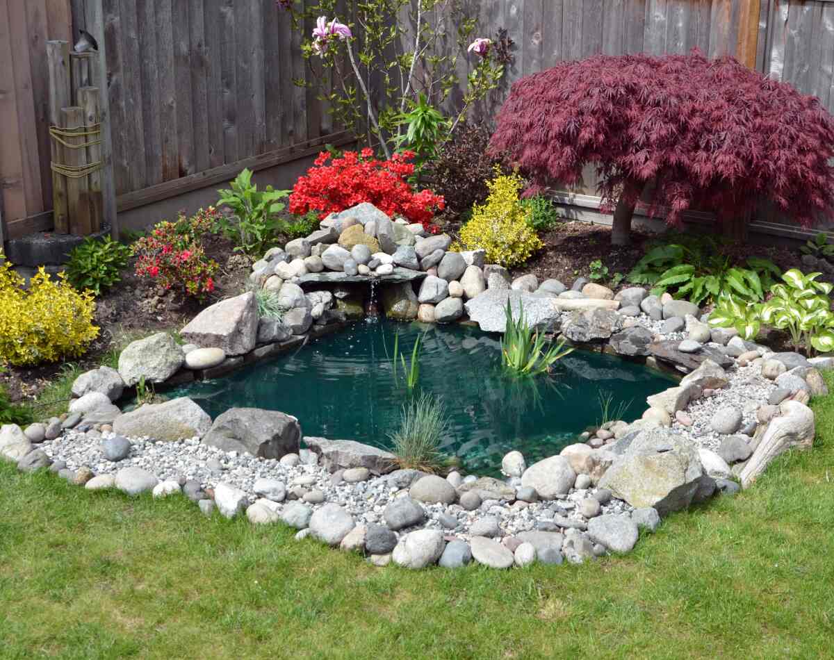 A small backyard pond with many beautiful flowers