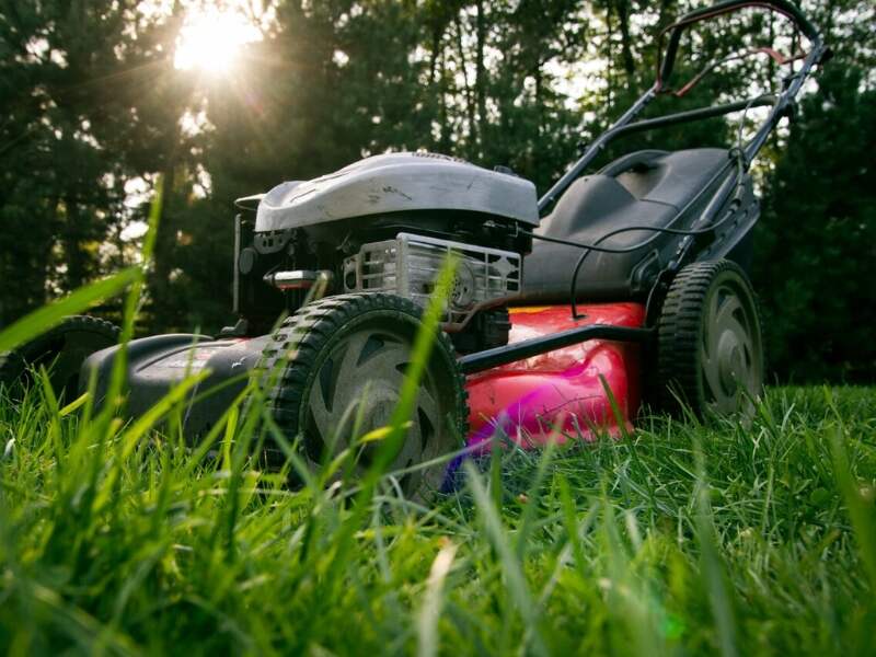 lawn mower in the grass