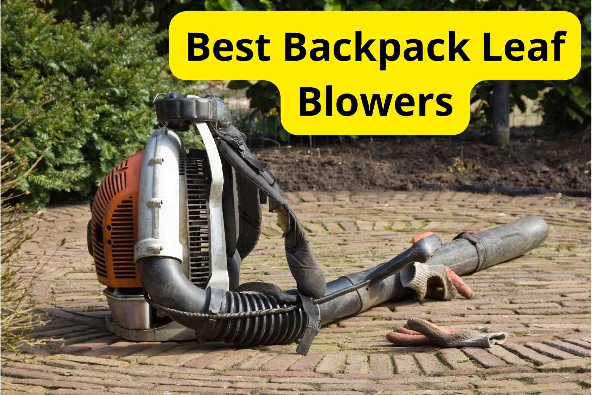 8 Best Backpack Leaf Blowers of 2024 [Reviews] Lawnstarter