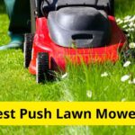 10 Best Push Lawn Mowers of 2022 [Reviews]