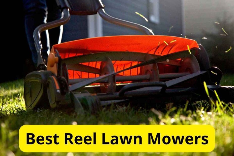 9 Best Reel Lawn Mowers of 2024 Lawnstarter