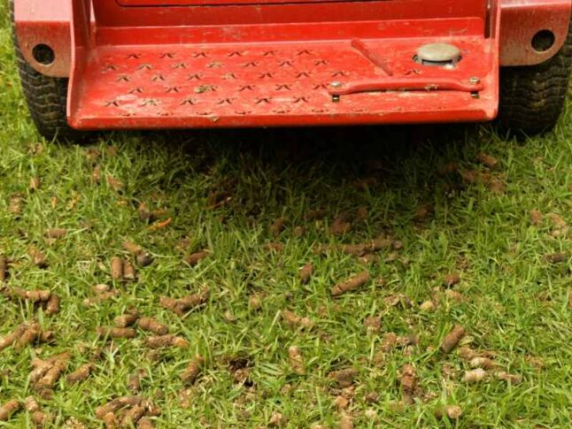core aerator with dirt plugs