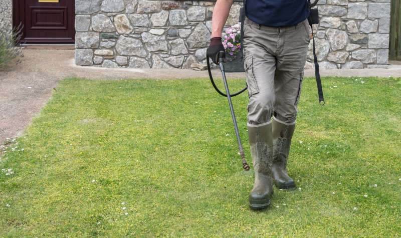 Gardener horticulturalist spraying weed killer herbicide on lawn