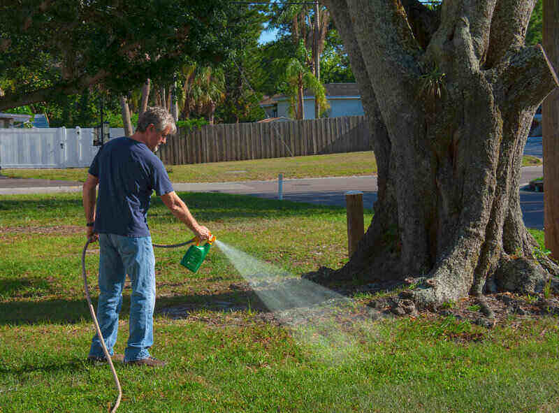 man spraying lawn with herbicides