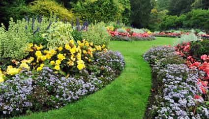 Landscaping Service