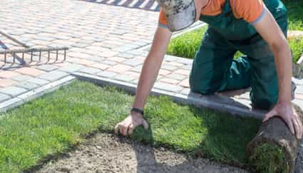 Sodding Service