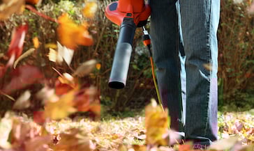 Only 3% Make the Cut