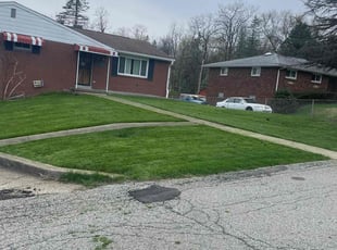 Michaela M.'s Yard Cutting service result