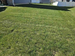 Ada T.'s Lawn Maintenance service result