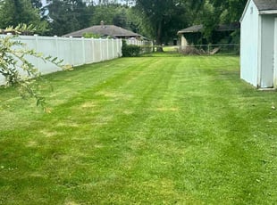Lee H.'s Lawn Maintenance service result