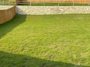 Kim I.'s Lawn Mowing Service service result