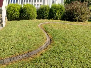 Leaf Removal by William Dalton for James C. in Kansas City, MO