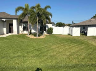 Raul N.'s Lawn Mowing service result
