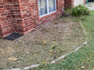 Weeding by Jessie Revilla Sanchez for Jennifer W. in Edmond, OK