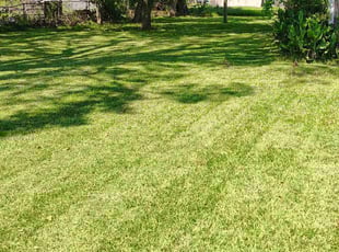 Eric C.'s Lawn Care service result